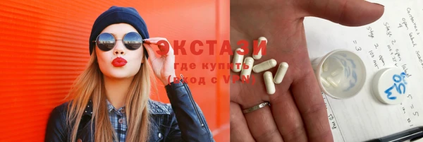 СК Алексин