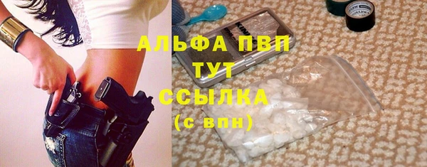 СК Алексин