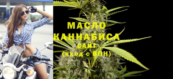 СК Алексин