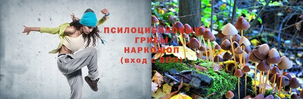 СК Алексин